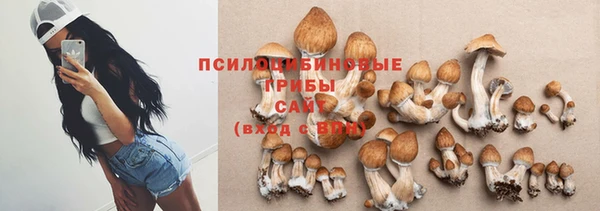 марки nbome Богородицк