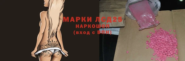 спайс Богданович