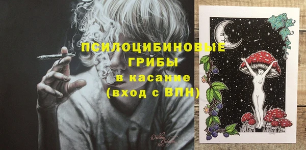 экстази Богородск