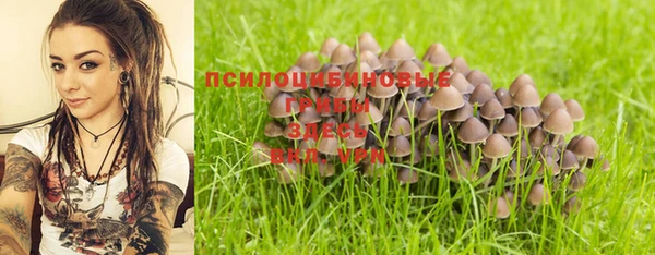 спайс Богданович