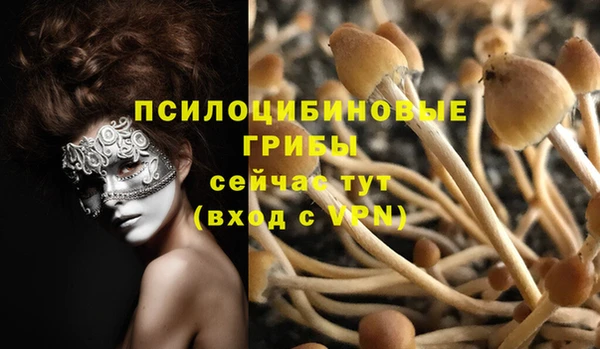 марки nbome Богородицк