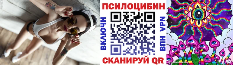 Галлюциногенные грибы прущие грибы  Кондрово 